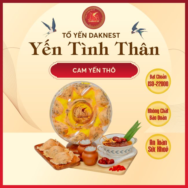 Cam yến thô hộp