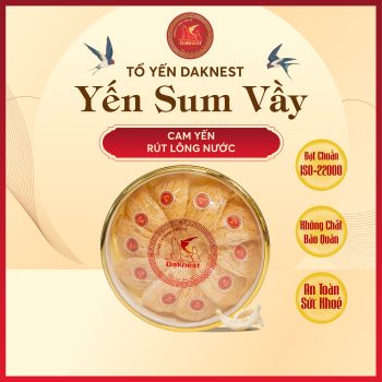 Cam yến rút lông nước