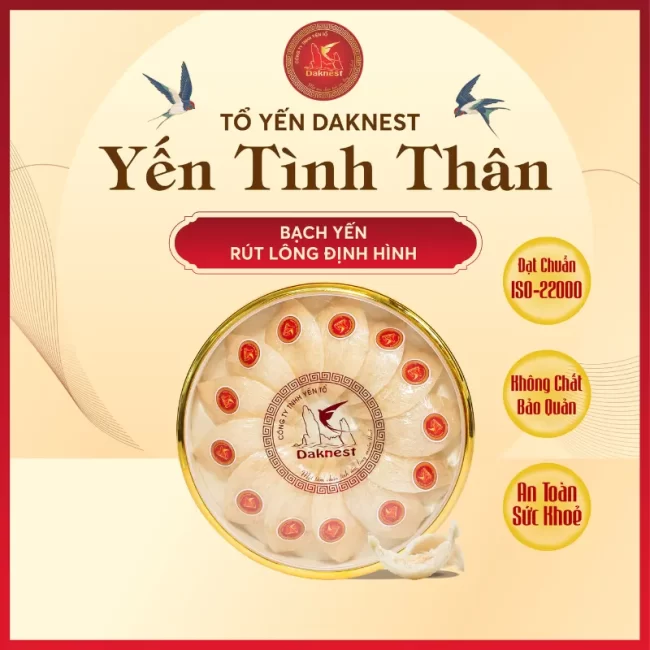 yến sào rút lông nguyên tổ