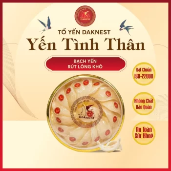 yến rút lông nguyên tổ