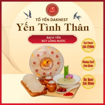 yến sào rút lông nguyên tổ, tổ yến rút lông