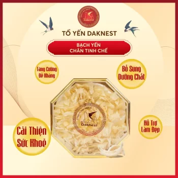 Chân yến tinh chế 50g -100g