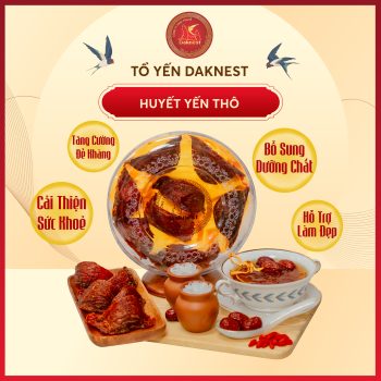 Huyết yến thô hộp 50g - 100g